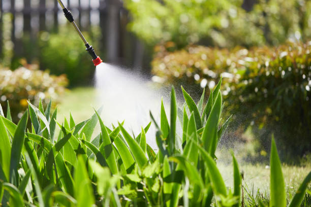 24/7 Emergency Cockroach Control experts in Aberdeen, WA